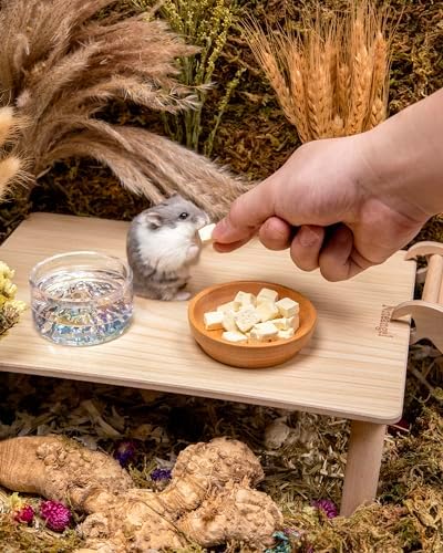 Niteangel Hamster Snack & Treats Toy - Freeze-Dried Tofu No Additive