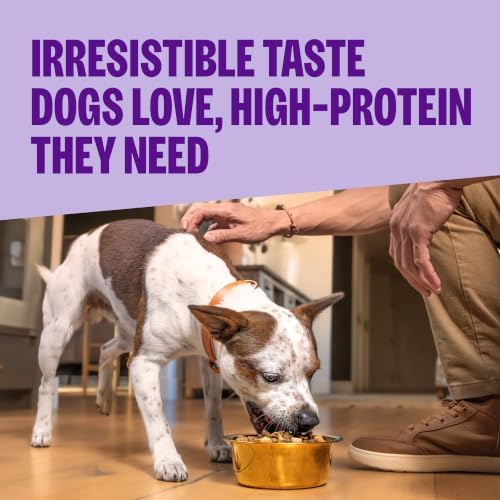 Wellness CORE+ Healthy Weight Adult Dry Dog Food with Freeze Dried Pieces, Grain Free Kibble+, Natural, High Protein, Turkey and Chicken Recipe, 18 lb Bag
