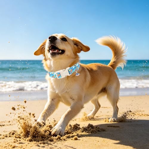 Shark Dog Collar, Summer Cotton Blue Adjustable Pet Collar for Male Dogs, Cute Ocean Pattern Soft Comfortable Durable Buckle with Charm for Boy Dogs
