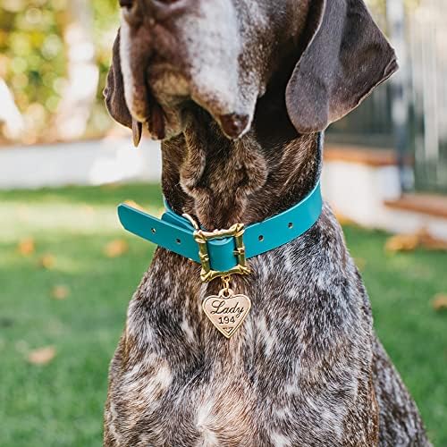 Buckle-Down Dog Collar, Disney Lady and The Tramp, Movie Replica with Heart Charm, Extra Extra Large 24 to 31 Inch Length 1.35 Inches Wide