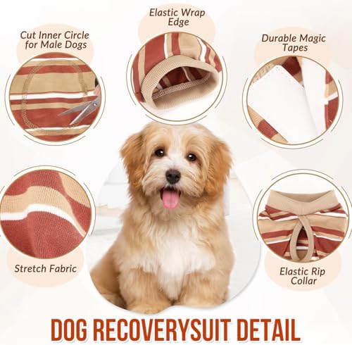 Lukovee Recovery Suit for Dogs, Onesie Spay Neuter Surgery Suit Female Male