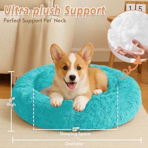 JOLLYVOGUE Calming Small Dog & Cat Bed for Indoor Cats - 20 inches Washable Donut Bed for Kittens & Puppies, Anti-Anxiety Round Fluffy Plush Pet Beds (Fits up to 15 lbs, Aqua Blue)