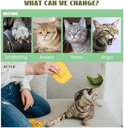 Pawsible 3 Pack Ravioli Catnip Toys for Indoor Cats, Interactive Cat Toys Filled with 100% Organic Catnip, Plush Chew Toys for Kittens, Teething Soft Catnip Toys for Cats