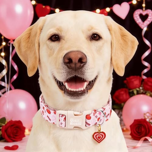 Dog Collars, Valentine's Pink Letter Heart Print Pet Collar Durable Adjustable Plastic Pendant Dog Collar for Small Dogs
