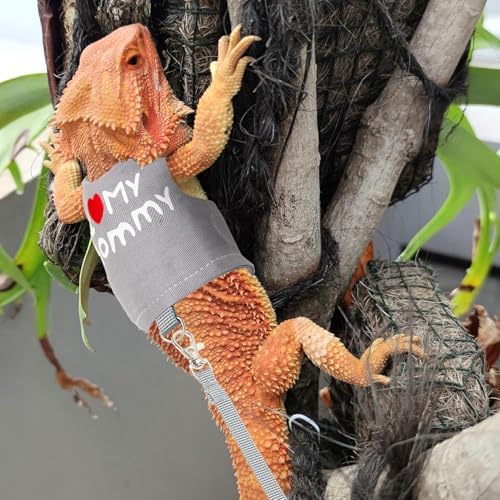 Reptile Travel Backpack Carrier with Reptile Thermometer and Humidity Gauge & Harness Leash Lizard Travel Cage Space Capsule Clear Bubble Window Astronaut Bearded Dragon Bag for Ball Python