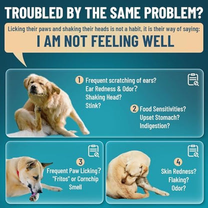 VICSOM Dog Yeast Infection Treatment, Natural Itchy Skin Ear Support, 60ml x2