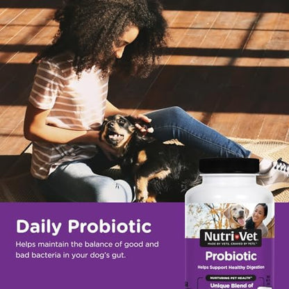 Nutri-Vet Probiotics for Dogs, Dog Probiotics, Immune Health, 60 Count