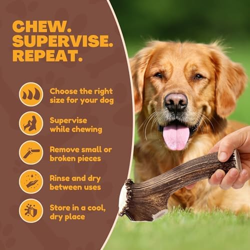 WhiteTail Naturals XL Whole Deer Antler for Extra Large Dogs - 7-8"