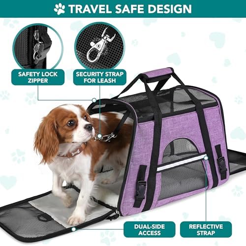PetAmi Airline Approved Pet Carrier Cats & Small Dogs, Small Heather Purple