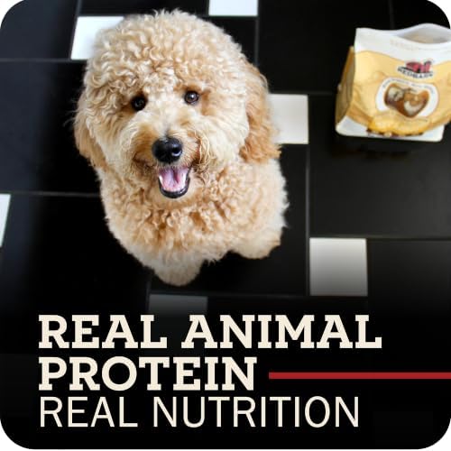 Redbarn Kibble Whole Grain Sky Recipe, Premium Dog Food, 22 lbs