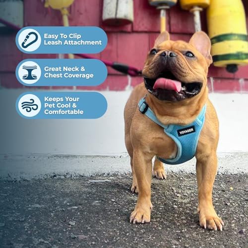 Best Pet Supplies Voyager Adjustable Step-in Flex Breathable Mesh Dog Harness for Small Medium Large Dogs Leash Set (Baby Blue), S