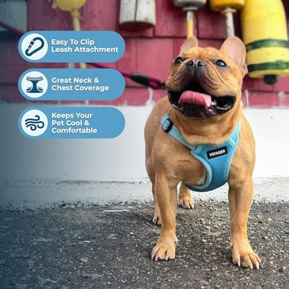 Best Pet Supplies Voyager Adjustable Step-in Flex Breathable Mesh Dog Harness for Small Medium Large Dogs Leash Set (Baby Blue), S