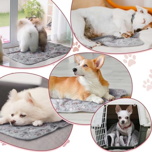 Reginary 4 Pcs Guinea Pig Fleece Cage Liners, Adorable Paw, 12 x 12 Inch