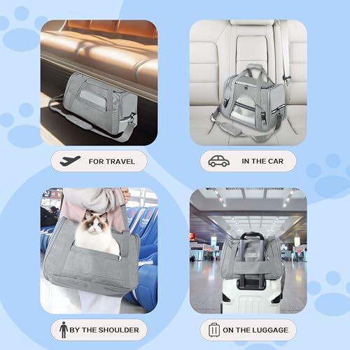 FluffyDream Pet Travel Carrier Soft Sided Portable Bag for Cats, Small Dogs, Kittens or Puppies, Collapsible, Durable, Airline Approved, Travel Friendly (Grey, 17.0" L x 10.0" W x 11.0" H) (Grey)