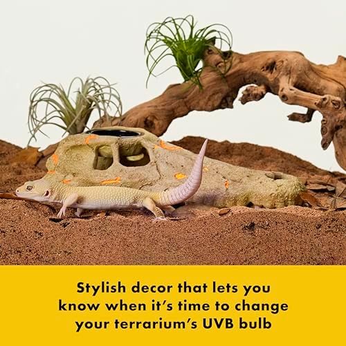 Zilla Rapid Sense UV Detecting Terrarium Decor, Crocodile Skull, Medium
