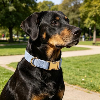 Sky Blue Soft Corduroy Dog Collar with Gold Metal Buckle, Adjustable Soft Pet Collar for Large Dogs, Comfortable & Durable(Sky Blue,Large:17-26")