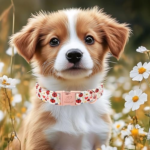 Cute Dog Collar for Puppy Small Dogs - Red Ladybug & Blooms Dog Collars, Adjustable Heavy Duty Pet Collar for Dog Moms & Kids with Metal Buckle XS
