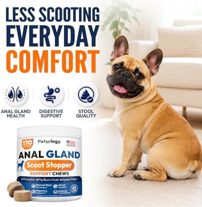 Anal Gland Support Chews for Dogs - 170 Ct - Scoot Treatment Supplement