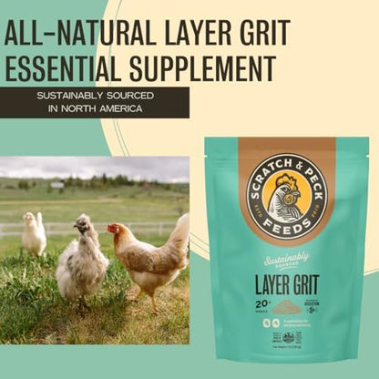 Scratch and Peck Feeds | Layer Grit for Chickens & Ducks | 7 lb Pouch