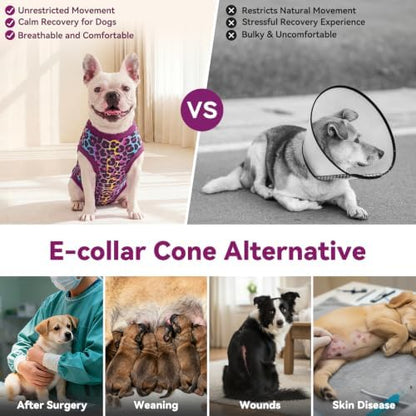 cyeollo Dog Surgery Recovery Suit, Surgical Onesie for Female & Male Dogs