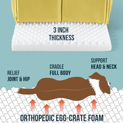 PELZIN Orthopedic Dog Bed House - Outdoor Waterproof Dog Tent with Washable Removable Cover - Durable Indoor Pet Cave Bed for Small Breeds & Fits 24-Inch Crate - 23"x16", Moonstone