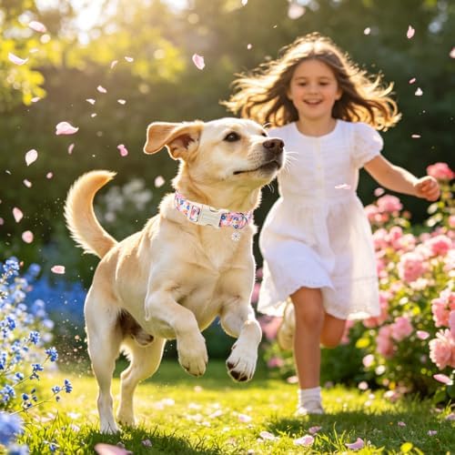 DOGWONG Pink Floral Dog Collar, Spring Summer Pretty Cute Girl Dog Collar,Girl Female Dogs Collars for Small Medium Dogs, Neck 14-21 inches