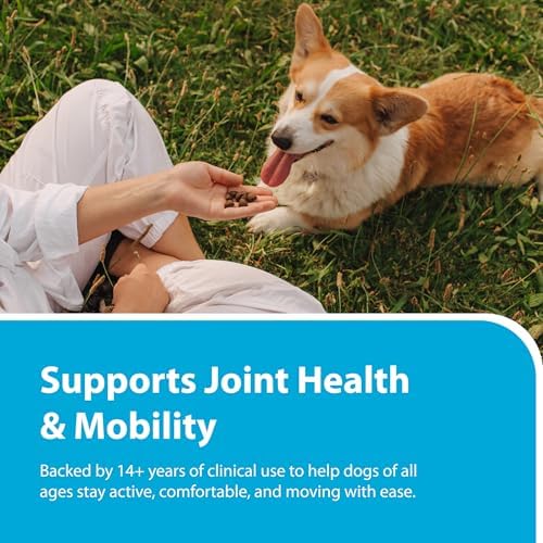 PRN Pharmacal Duralactin Canine Chewable Tablets, Vanilla, 180 Count