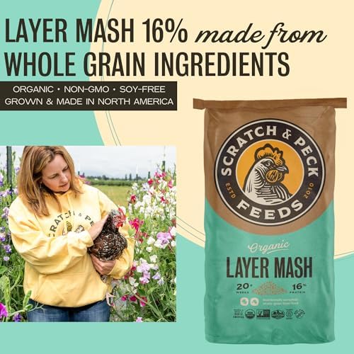 Scratch and Peck Feeds | Layer Mash for Chickens & Ducks | 50 lb Bag