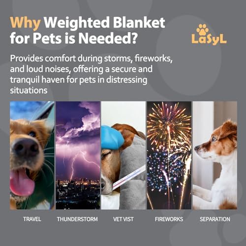LaSyL Weighted Blanket for Pets | Thunder Blanket for Dogs Anxiety | Premium Soft Minky | Relaxation & Calming & Anti Anxiety | Used in Car, Bed, Couch | Dark Grey, Washable Small (24"x32")