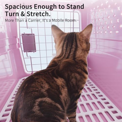 RIZZARI XS Hard Pet Carrier: Travel Crate for Small Cats & Dogs 10 lbs