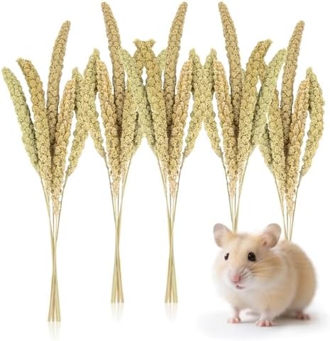 Sukh 30 Pcs Natural Millet Spray - 12.6in Hamster Cage Accessories Decor