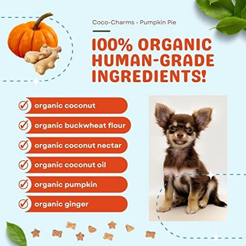 Cocotherapy Coco-Charms Training Treats – Pumpkin Pie, (1 Pouch), 5 Oz.
