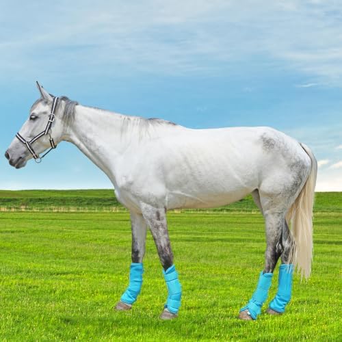 Horse Fly Boots, Mesh Fly Boots for Horse Set of 4, Equine Leg Protection