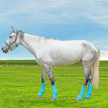 Horse Fly Boots, Mesh Fly Boots for Horse Set of 4, Equine Leg Protection