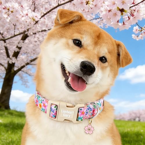 Lionheart Glory Spring Summer Dog Collar - Soft and Adjustable Dog Collars with Plastic Buckle Colorful Wildflower Pattern Dogs Collar for X-Small Dogs Puppy Male Female Pet Collars XS