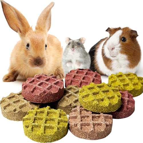 PINVNBY 10PCS Bunny Chew Toys Small Animal Molar Snacks for Teeth Rabbit Treats for Hamster, Chinchilla, Guinea Pig, Squirrels, Gerbils and Small Animals