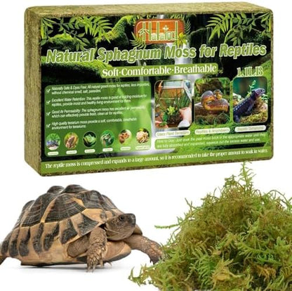 Halatool 1.1 LB Sphagnum Moss for Reptiles - Green Terrarium Moss