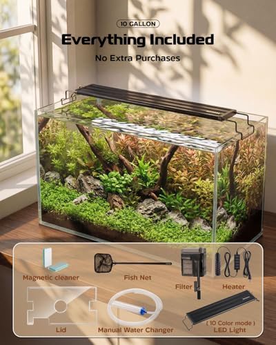 10 Gallon Glass Aquarium Kit, Rimless Fish Tank with LED & Filter, Clear