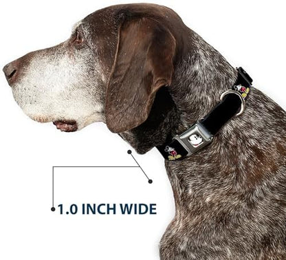 Dog Collar Seatbelt Buckle Jasmine Aladdin Carpet Ride Jasmine Poses Flowers 13 to 18 Inches 1.5 Inch Wide