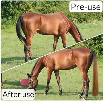 33.5 IN Long 1 LB Horse Tail Extension with Braided Horsehair Loop & Blunt Cut Bottom (Mixed Brown)