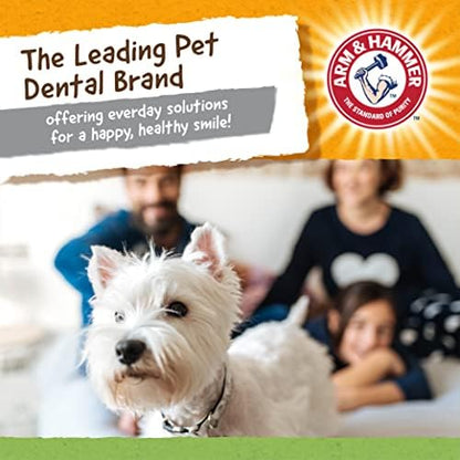 Arm & Hammer Super Treadz Gator Dental Dog Chew Toy, Large, 7 Inch, 12-Pk