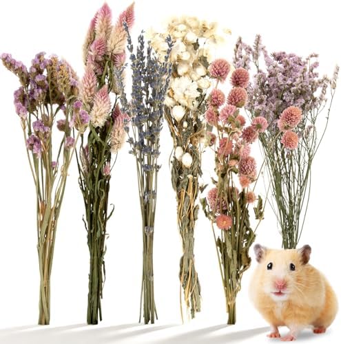 Sukh Hamster Sprays Habitat Decor - Natural Cage Accessories for Enrichment