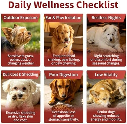 Dog Allergy Chews - Paw Licking, Seasonal Allergy & Itch Relief - Probiotics for Dogs Immune & Gut Health with Turkey Tail Mushroom, Pumpkin - Bacon Flavor - 90 Count
