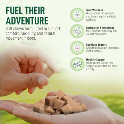 Hip & Joint Supplement for Dogs – 120 Soft Chews, Bacon Flavor | Glucosamine, Chondroitin & MSM for Mobility, Flexibility & Cartilage Support | for All Breeds