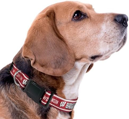 Pets First Collegiate PET Collar NEW VERSION Wisconsin Badgers Dog Collar, Size Small. Best Sports Team Color for Dogs & Cats. A Shiny & Colorful Dog & Cat Collar Licensed by The NCAA