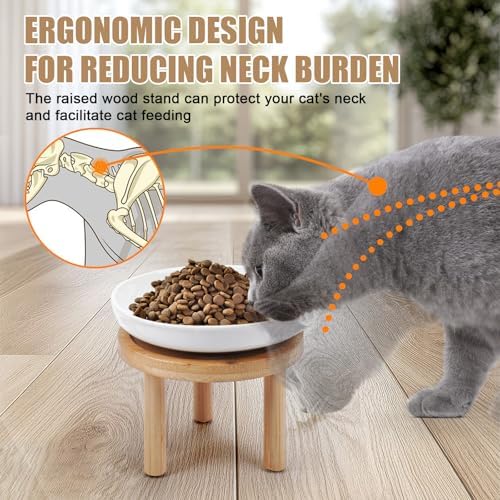 Shallow Elevated Cat Bowls with Bamboo Stand, 5.9 Inch Wide Ceramic Cat Dish Whisker Friendly, 2 Pack Pet Food and Water Plates