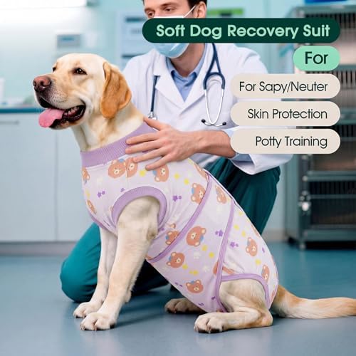 Kuoser Dog Surgery Recovery Suit, Soft Breathable Dog Recovery Suit for Female Spay Male Nueuter, Anti Licking Puppy Onesie Pet Surgical Suit for Dogs Abdominal Wounds Skin Disease, Bear M