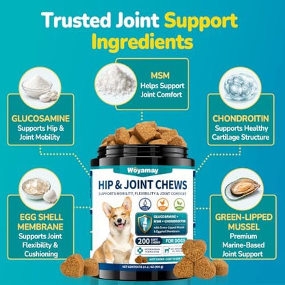 Woyamay Joint Supplement for Dogs, Glucosamine for Dogs,200 Soft Chews