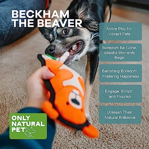 Only Natural Pet Mountain Friends Recycled Plush Dog Toys - Durable Double-Stitched Design with Internal Squeaker & Rope Tug Tail - Stuffed Toy for Dogs, Pet Toy | Beckham the Beaver, 5.5" x 11"