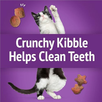 Friskies Purina Made in USA Facilities Cat Treats, Party Mix Crunch Gravylicious Turkey & Gravy Flavors - (10) 2.1 oz. Pouches